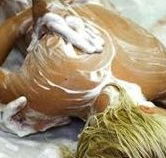 Exotique Massage - Accommodation Whitsundays