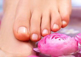 Indulge Spa Retreat - Accommodation Whitsundays 3