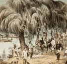 Joshua McClelland Print Room - Accommodation Whitsundays