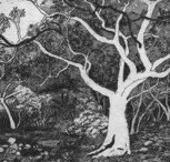 Tacit Contemporary Art - Accommodation Whitsundays