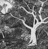 Tacit Contemporary Art - Accommodation Whitsundays 0