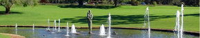 Kings Park Botanic Gardens - Accommodation Whitsundays 3