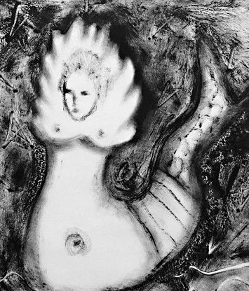 Gallery Stimuleye - Accommodation Whitsundays 0