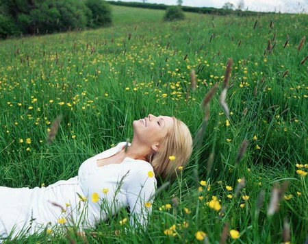 ANEW YOU Mind - Body Solutions - Accommodation Whitsundays 0