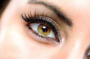 Beauty On Ryrie - Accommodation Whitsundays 1