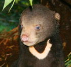 Perth Zoo - Accommodation Whitsundays 0