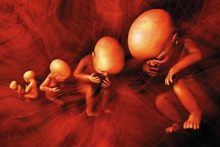 Winterfall Theatre Company - Accommodation Whitsundays 1