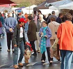  Accommodation Whitsundays