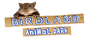 Birdland Animal Park - Accommodation Whitsundays