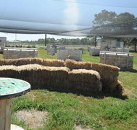 We Are Paintball - Accommodation Whitsundays