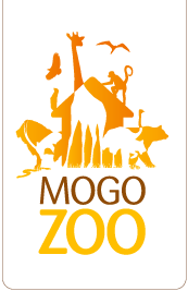 Mogo Zoo - Accommodation Whitsundays