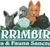 Wirrimbirra Sanctuary - Accommodation Whitsundays