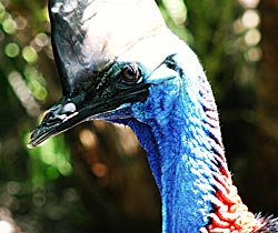 Dakabin QLD Accommodation Whitsundays