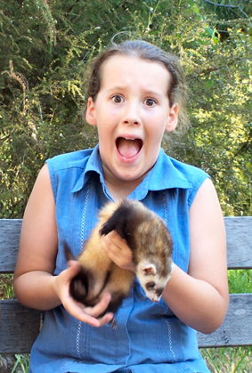 Peel Zoo - Accommodation Whitsundays 1