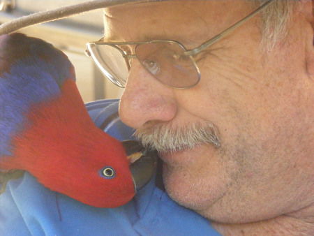 Peel Zoo - Accommodation Whitsundays 3