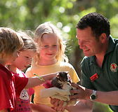 Cleland Wildlife Park - Accommodation Whitsundays