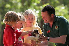 Cleland Wildlife Park - Accommodation Whitsundays 0