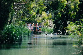 Cleland Wildlife Park - Accommodation Whitsundays 1