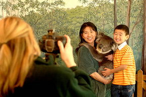 Cleland Wildlife Park - Accommodation Whitsundays 2