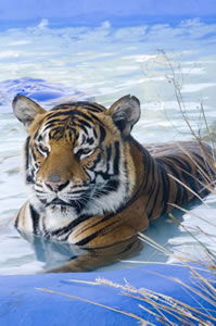  Accommodation Whitsundays