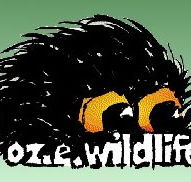 OZe Wildlife - Accommodation Whitsundays