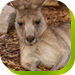  Accommodation Whitsundays