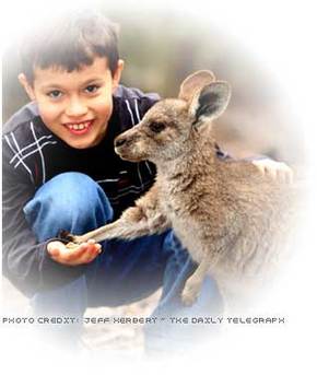 Australia Walkabout Wildlife Park - Accommodation Whitsundays 1