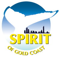 Spirit of Gold Coast Whale Watching - Accommodation Whitsundays