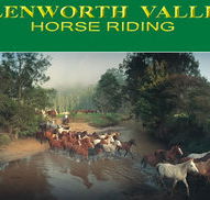 Glenworth Valley Horseriding - Accommodation Whitsundays