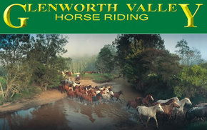 Glenworth Valley Horseriding - Accommodation Whitsundays 0