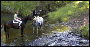Glenworth Valley Horseriding - Accommodation Whitsundays 1
