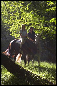 Glenworth Valley Horseriding - Accommodation Whitsundays 2