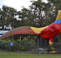Gumbuya Park - Accommodation Whitsundays