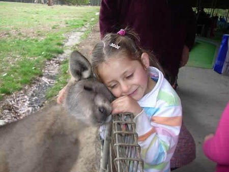 Gumbuya Park - Accommodation Whitsundays 3
