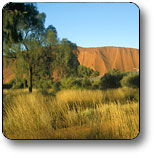  Accommodation Whitsundays