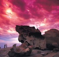 Kangaroo Island Adventure Tour 2 day/1 night - Accommodation Whitsundays