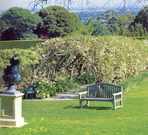 Carrick Hill - Accommodation Whitsundays 2