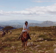 High Country Horses - Accommodation Whitsundays