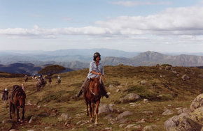 High Country Horses - Accommodation Whitsundays 0