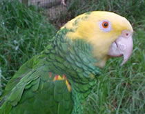 Gorge Wildlife Park - Accommodation Whitsundays 3