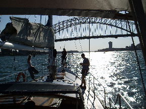 Kalypso Cruises - Accommodation Whitsundays 2