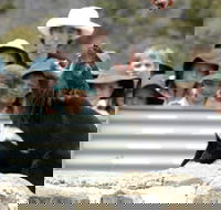 Tasmania Zoo - Accommodation Whitsundays