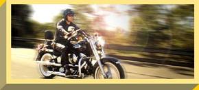 Easy Rider - Accommodation Whitsundays 1