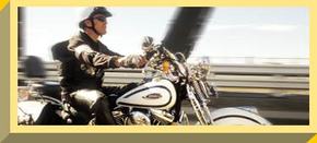 Easy Rider - Accommodation Whitsundays 2