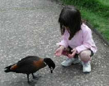 Urimbirra Wildlife Park - Accommodation Whitsundays 3