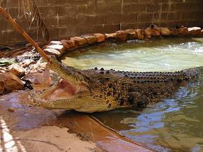  Accommodation Whitsundays