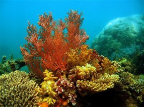  Accommodation Whitsundays