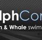 Dolphcom - Dolphin  Whale Swimming Adventures - Accommodation Whitsundays