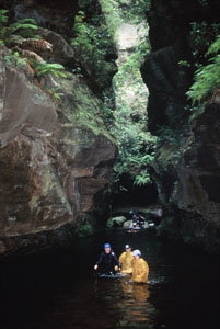 High And Wild Mountain Adventures - Accommodation Whitsundays 1