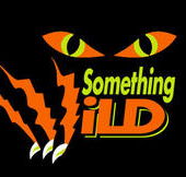 Something Wild - Accommodation Whitsundays